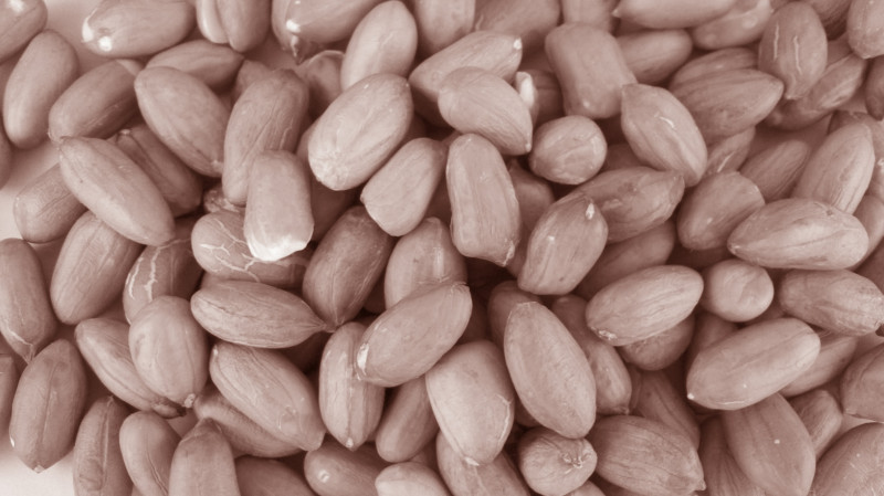 Erdnusskerne ungeröstet